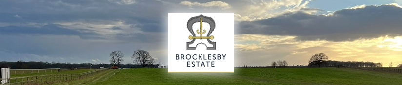 Brocklesby Park, home of the Brocklesby Hunt Point-to-Point